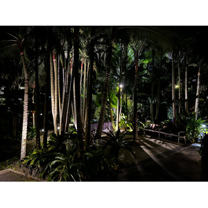 รูปถ่าย สิงคโปร์(Singapore) การ์เดนส์บายเดอะเบย์(Garden by the bay) 2023-01 54