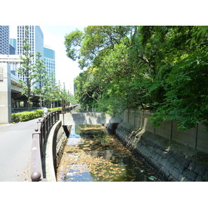 รูปถ่าย ญี่ปุ่น(Japan) โตเกียว(Tokyo) สวนฮามะริคิว(Hama rikyu Gardens) 2010-06 48