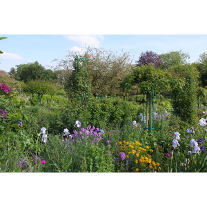 รูปถ่าย ฝรั่งเศส(France) ฌีแวร์นี(Giverny) 2013-06 19