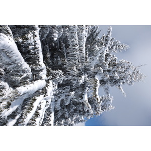 รูปถ่าย ฝรั่งเศส(France) เลทรัววาเล(Les 3 Vallees) 2013-03 368