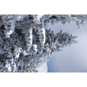 รูปถ่าย ฝรั่งเศส(France) เลทรัววาเล(Les 3 Vallees) 2013-03 99