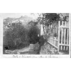 รูปถ่าย ฝรั่งเศส(France) คอร์สิคา(Corsica) โปสการ์ดเก่า(Old Postcards) 1900-01 80