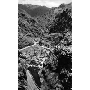 รูปถ่าย ฝรั่งเศส(France) คอร์สิคา(Corsica) โปสการ์ดเก่า(Old Postcards) 1900-01 220