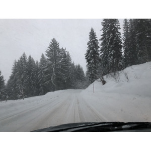 รูปถ่าย ฝรั่งเศส(France) ลากลูซา(La Clusaz) 2017-12 219