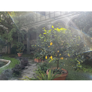 รูปถ่าย อิตาลี(Italy) ฟลอเรนซ์(Florence) 2022-05 8