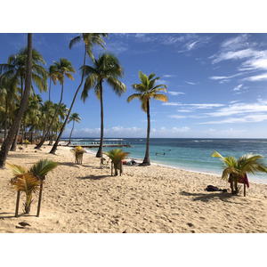 รูปถ่าย กวาเดอลูป(Guadeloupe) หาดลาการาแวล(La Caravelle Beach) 2021-02 16