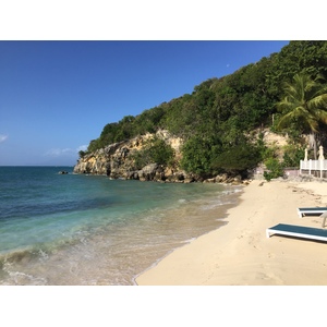 รูปถ่าย กวาเดอลูป(Guadeloupe) หาดลาการาแวล(La Caravelle Beach) 2021-02 62