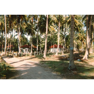 รูปถ่าย ไทย(Thailand) ภูเก็ต(Phuket) 1989-04 69