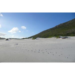 รูปถ่าย แอฟริกาใต้(South Africa) แหลมกู๊ดโฮป(Cape of Good Hope) 2008-09 16