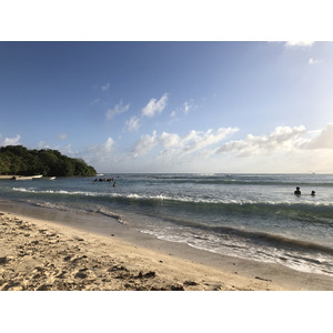 รูปถ่าย กวาเดอลูป(Guadeloupe) หาดปตีอาฟวร์(Petit Havre Beach) 2021-02 10