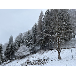 รูปถ่าย ฝรั่งเศส(France) ปรา-ซูร์-อาร์ลี(Praz sur Arly) 2025-02 61