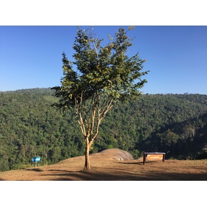 รูปถ่าย ไทย(Thailand) อุทยานแห่งชาติภูหินร่องกล้า(Phu Hin Rong Kla National Park) 2014-12 376