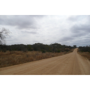 รูปถ่าย แอฟริกาใต้(South Africa) อุทยานแห่งชาติครูเกอร์(Kruger National Park) 2008-09 14