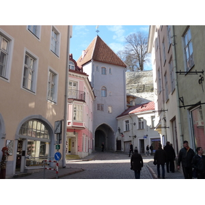 รูปถ่าย เอสโตเนีย(Estonia) ทาลลินน์(Tallinn) 2009-04 110