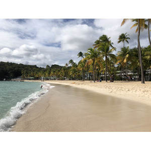 รูปถ่าย กวาเดอลูป(Guadeloupe) หาดลาการาแวล(La Caravelle Beach) 2021-02 142