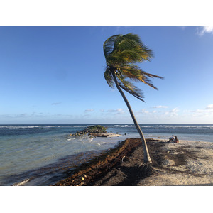 รูปถ่าย กวาเดอลูป(Guadeloupe) หาดลาการาแวล(La Caravelle Beach) 2021-02 11