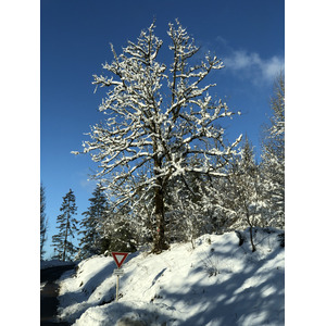 รูปถ่าย สวิสเซอร์แลนด์(Switzerland) ครองส์-มงตานา(Crans Montana) 2020-12 255