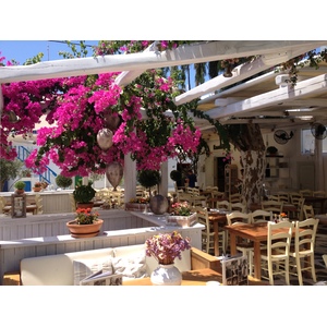 รูปถ่าย กรีก(Greece) เกาะมิโคนอส(Mykonos) 2014-07 325