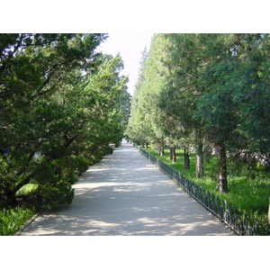 รูปถ่าย จีน(China) ปักกิ่ง(Beijing) วัดแห่งสวรรค์(Temple of Heaven) 2002-05 54