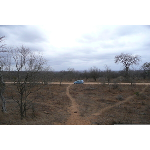 รูปถ่าย แอฟริกาใต้(South Africa) อุทยานแห่งชาติครูเกอร์(Kruger National Park) 2008-09 92