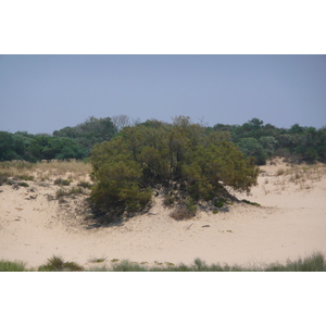 รูปถ่าย อิสราเอล(Israel) นิทซาน(Nitzan) 2007-06 94