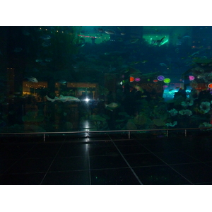 รูปถ่าย สหรัฐอาหรับเอมิเรตส์(United Arab Emirates) ดูไบ(Dubai) ดูไบมอลล์(The Dubai Mall) 2009-12 3