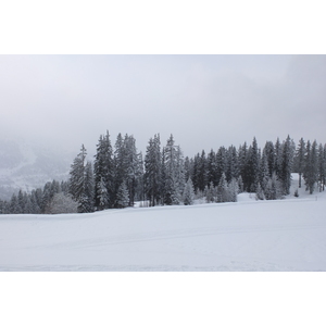 รูปถ่าย ฝรั่งเศส(France) เลทรัววาเล(Les 3 Vallees) 2013-03 369