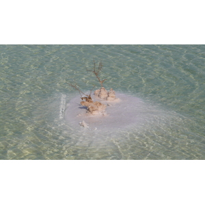 รูปถ่าย อิสราเอล(Israel) อึนโบเกก(Boqeq) 2007-06 24