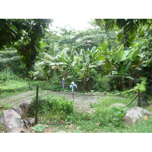 รูปถ่าย เซเชลส์(Seychelles) เกาะลาดีก(La Digue) 2011-10 199