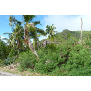 รูปถ่าย เซเชลส์(Seychelles) เกาะปราลิน(Praslin) 2011-10 14