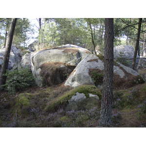 รูปถ่าย ฝรั่งเศส(France) ฟงเทนโบล(Fontainebleau) ทัวร์ป่า(Circuit des 25 bosses) 2007-08 40