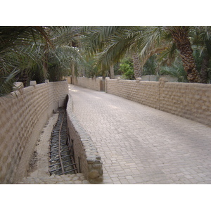 รูปถ่าย สหรัฐอาหรับเอมิเรตส์(United Arab Emirates) อาเลอิน(Al Ain) โอเอซิสอัลไอน์(Al Ain Oasis) 2005-03 38