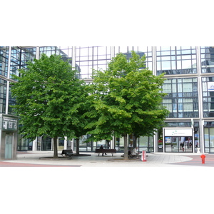 รูปถ่าย ฝรั่งเศส(France) ปารีส(Paris) ลาเดฟ็องส์(La Defense) 2007-05 239