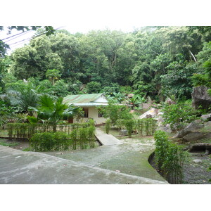 รูปถ่าย เซเชลส์(Seychelles) เกาะลาดีก(La Digue) 2011-10 39