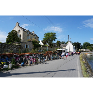 รูปถ่าย ฝรั่งเศส(France) เกาะโอมวน(Ile-aux-Moines) 2016-08 87