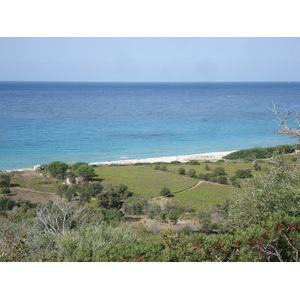 รูปถ่าย ฝรั่งเศส(France) คอร์สิคา(Corsica) ถนนจากลีล-รูสไปกาลวี(Ile Rousse to Calvi Road) 2006-09 9