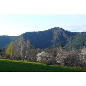 รูปถ่าย ฝรั่งเศส(France) เทือกเขาเซแวน(Cevennes Mountains) 2008-04 36