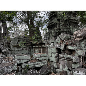 รูปถ่าย กัมพูชา(Cambodia) เสียมราฐ(Siem Reap) ปราสาทตาพรหม(Ta Prohm) 2023-01 121