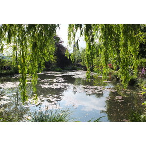รูปถ่าย ฝรั่งเศส(France) ฌีแวร์นี(Giverny) 2013-06 156