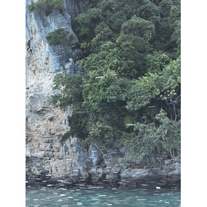 รูปถ่าย ไทย(Thailand) เกาะพีพีเล(Ko Phi Phi Ley) 2021-12 101