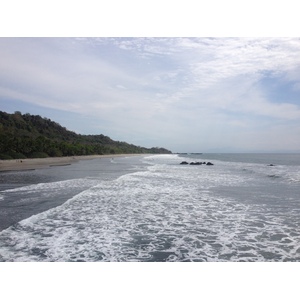 รูปถ่าย คอสตาริกา(Costa Rica) มอนเตซูมา(Montezuma) 2015-03 287
