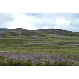 รูปถ่าย อังกฤษ(United Kingdom) อุทยานแห่งชาติแคร์นกอร์มส์(Cairngorms National Park) 2011-07 36