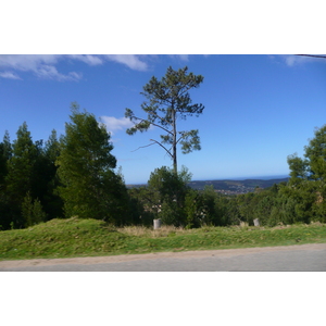 รูปถ่าย แอฟริกาใต้(South Africa) ไนส์นา(Knysna) 2008-09 103