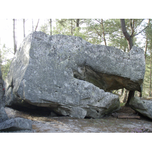รูปถ่าย ฝรั่งเศส(France) ฟงเทนโบล(Fontainebleau) ทัวร์ป่า(Circuit des 25 bosses) 2007-08 141