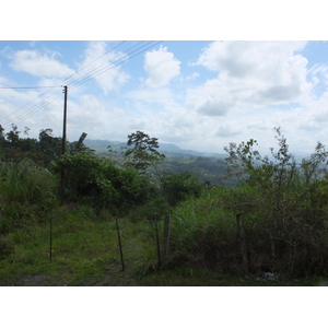 รูปถ่าย คอสตาริกา(Costa Rica) ตูร์รีอัลบา(Turrialba) 2015-03 78