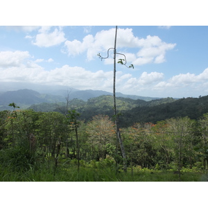 รูปถ่าย คอสตาริกา(Costa Rica) ตูร์รีอัลบา(Turrialba) 2015-03 86