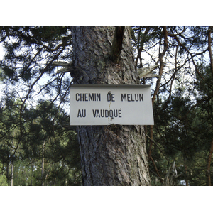 รูปถ่าย ฝรั่งเศส(France) ฟงเทนโบล(Fontainebleau) ทัวร์ป่า(Circuit des 25 bosses) 2007-08 55