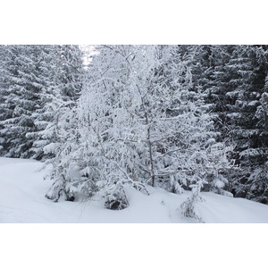 รูปถ่าย ฝรั่งเศส(France) เลทรัววาเล(Les 3 Vallees) 2013-03 455