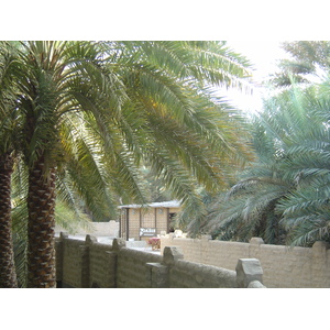 รูปถ่าย สหรัฐอาหรับเอมิเรตส์(United Arab Emirates) อาเลอิน(Al Ain) โอเอซิสอัลไอน์(Al Ain Oasis) 2005-03 5