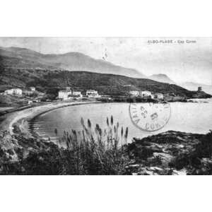 รูปถ่าย ฝรั่งเศส(France) คอร์สิคา(Corsica) โปสการ์ดเก่า(Old Postcards) 1900-01 199